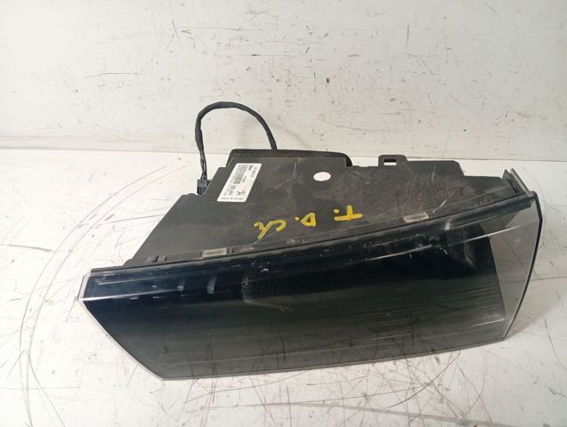 9813508180 Peugeot/Citroen