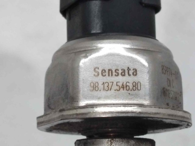 9813754680 Peugeot/Citroen