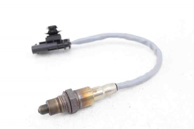 9813838380 Opel