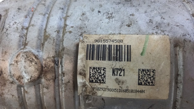 9815574580 Peugeot/Citroen