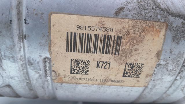 9815574580 Peugeot/Citroen