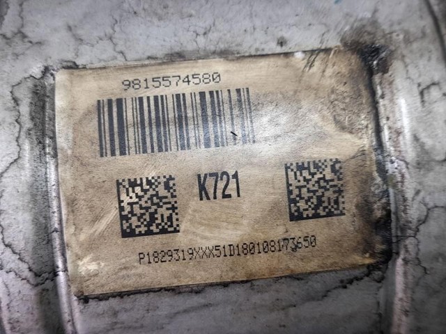 9815574580 Peugeot/Citroen