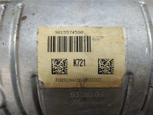 9815574580 Peugeot/Citroen