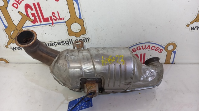 9815574580 Peugeot/Citroen