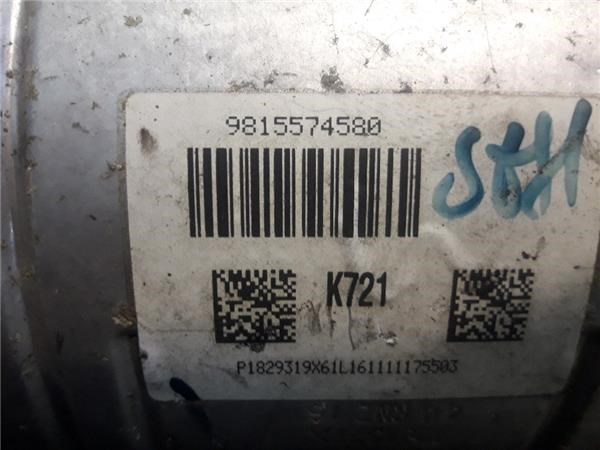 9815574580 Peugeot/Citroen