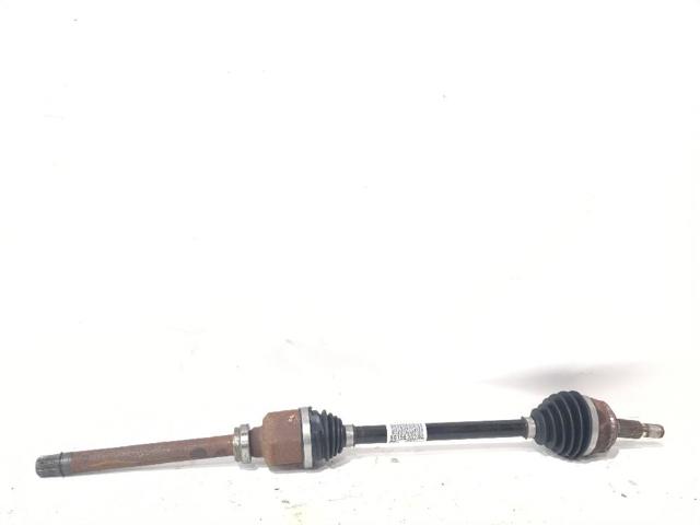 9815636280 Opel