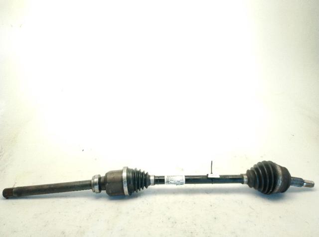 9815636280 Peugeot/Citroen