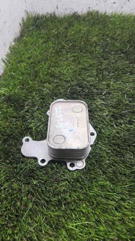 9815697880 Peugeot/Citroen