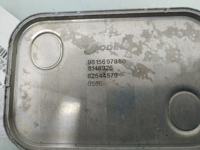 9815697880 Peugeot/Citroen