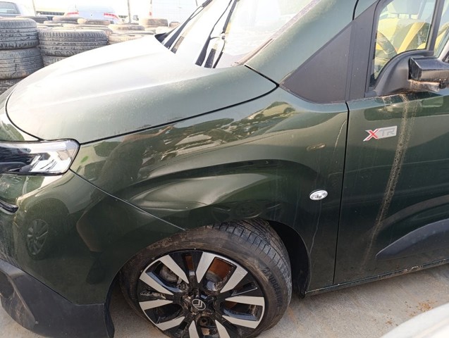 9816482780 Peugeot/Citroen