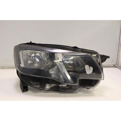 9816826880 Peugeot/Citroen