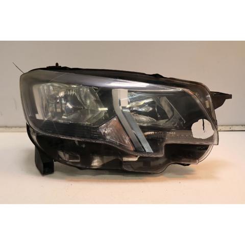 9816826880 Peugeot/Citroen