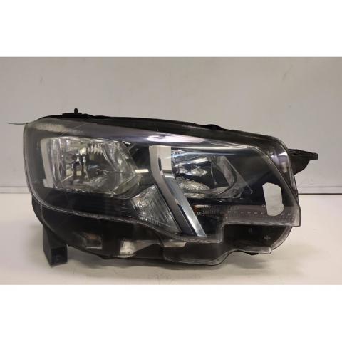 9816826880 Peugeot/Citroen