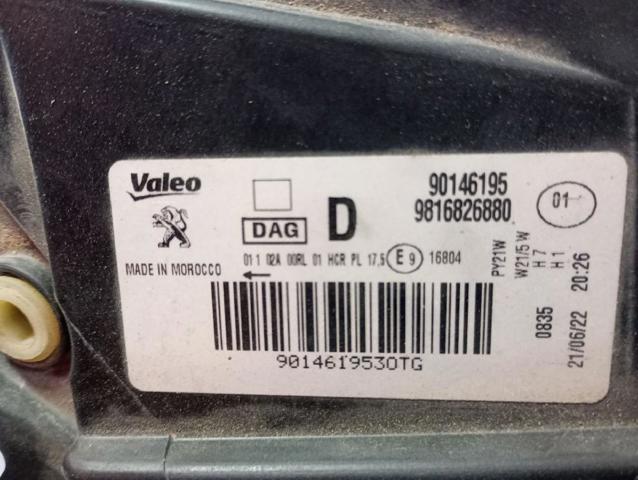 9816826880 Peugeot/Citroen