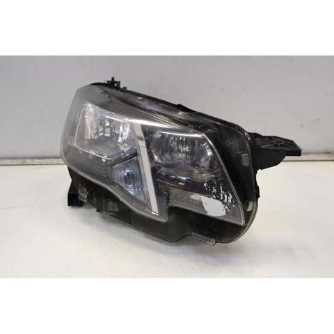 9816826880 Peugeot/Citroen