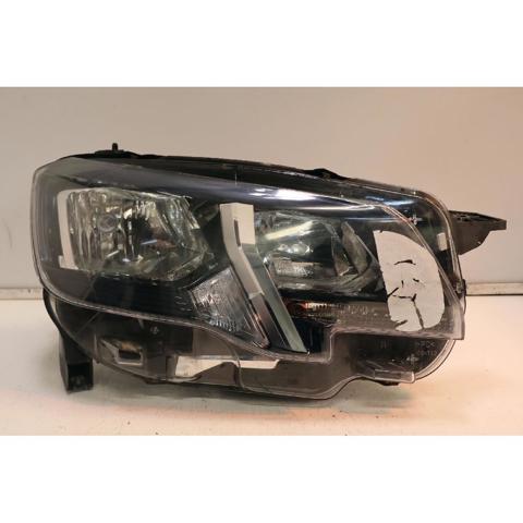 9816826880 Peugeot/Citroen