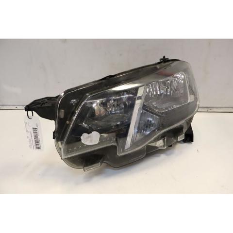 9816826980 Peugeot/Citroen
