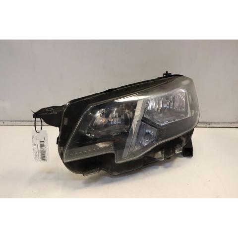 9816826980 Peugeot/Citroen