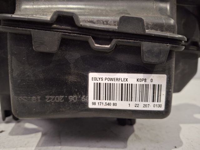 9817154080 Peugeot/Citroen