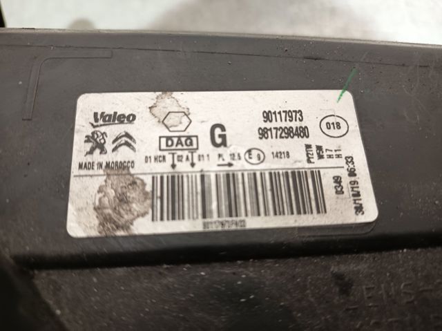 9817298480 Peugeot/Citroen