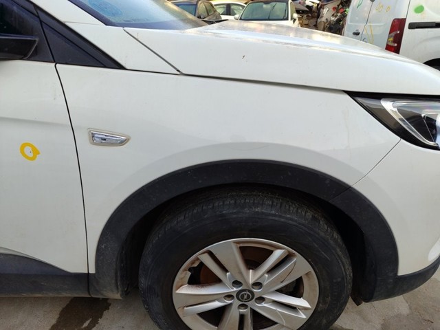 9817516980 Opel
