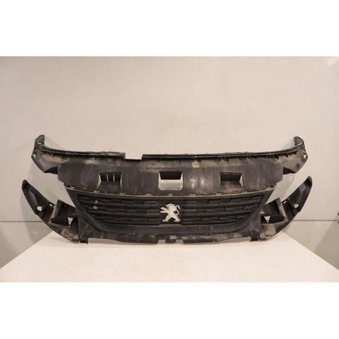 9818281980 Peugeot/Citroen