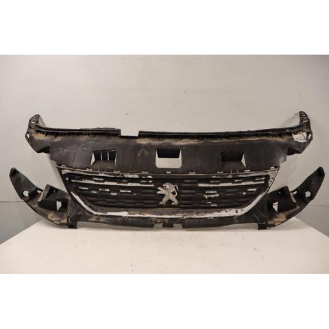 9818281980 Peugeot/Citroen