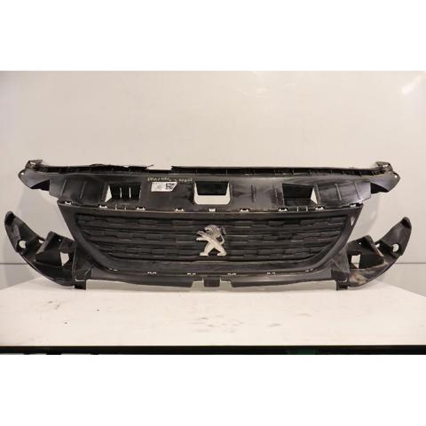 9818281980 Peugeot/Citroen