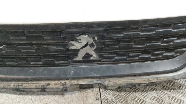 9818281980 Peugeot/Citroen
