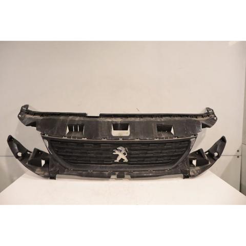 9818281980 Peugeot/Citroen