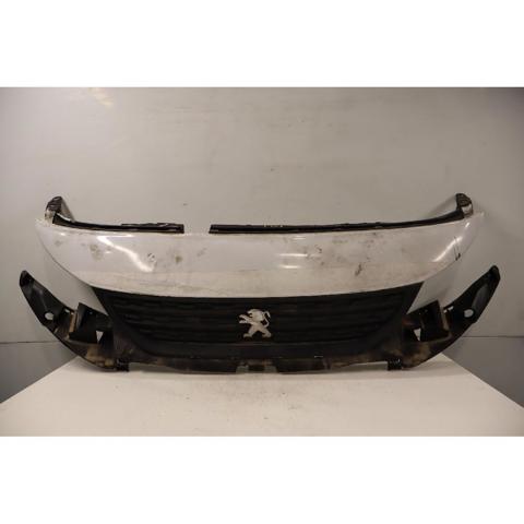 9818281980 Peugeot/Citroen