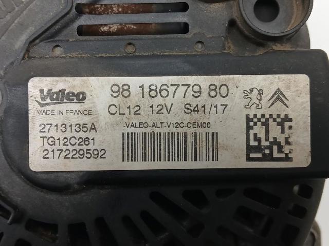 9818677980 Peugeot/Citroen