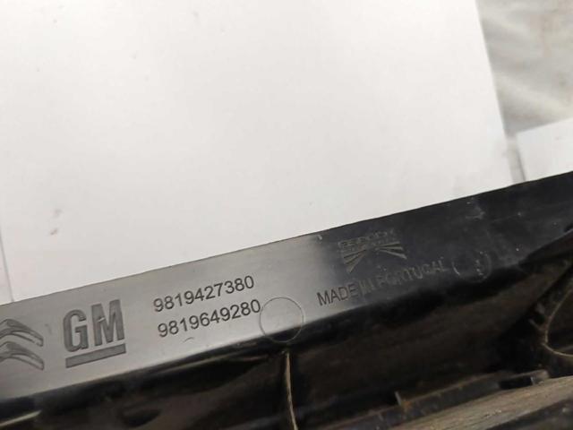 9819427380 Peugeot/Citroen