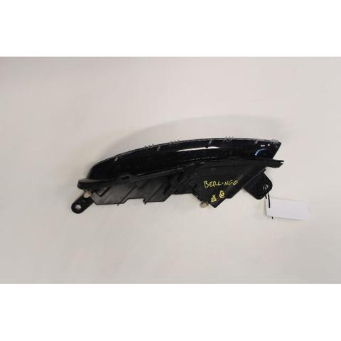9819435580 Peugeot/Citroen