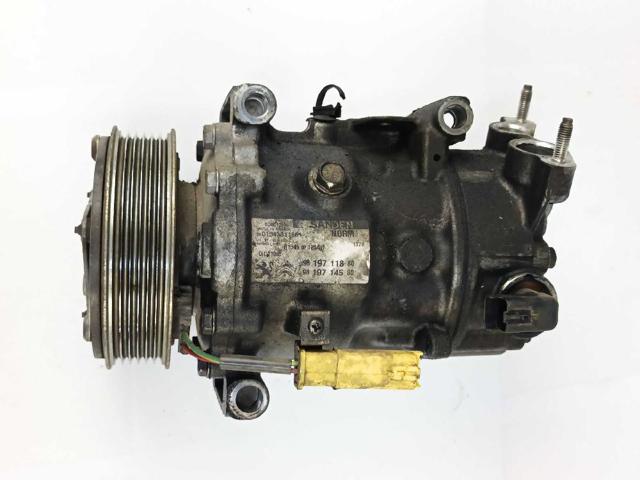9819711880 Peugeot/Citroen