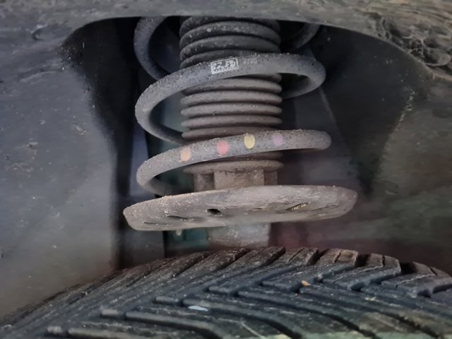 9819718680 Peugeot/Citroen