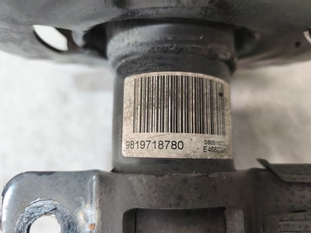 9819718780 Peugeot/Citroen