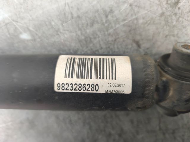 9823286280 Peugeot/Citroen
