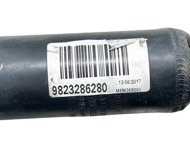 9823286280 Peugeot/Citroen