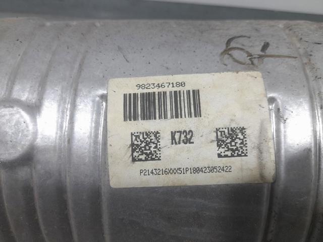 9823467180 Peugeot/Citroen