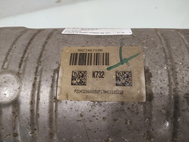 9823467180 Peugeot/Citroen