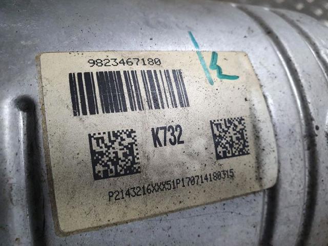 9823467180 Peugeot/Citroen