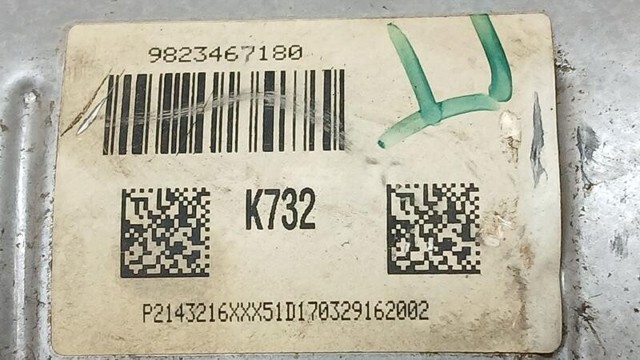 9823467180 Peugeot/Citroen