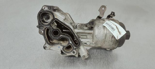 9823532380 Peugeot/Citroen
