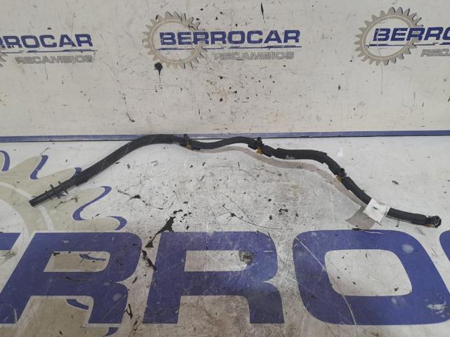 9823897880 Peugeot/Citroen