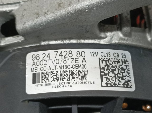 9824742880 Peugeot/Citroen