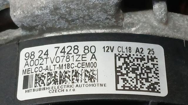 9824742880 Peugeot/Citroen