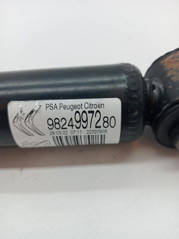 9824997280 Peugeot/Citroen