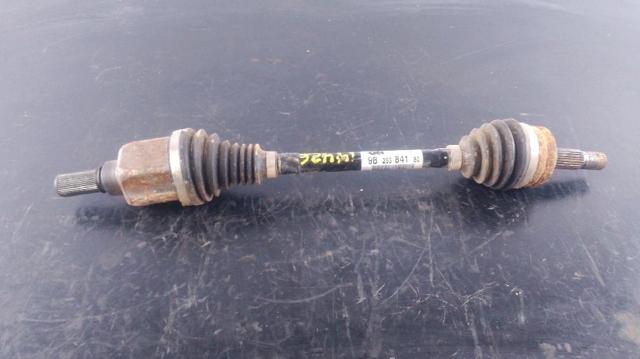 9825384180 Peugeot/Citroen