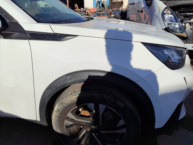 9825439080 Peugeot/Citroen